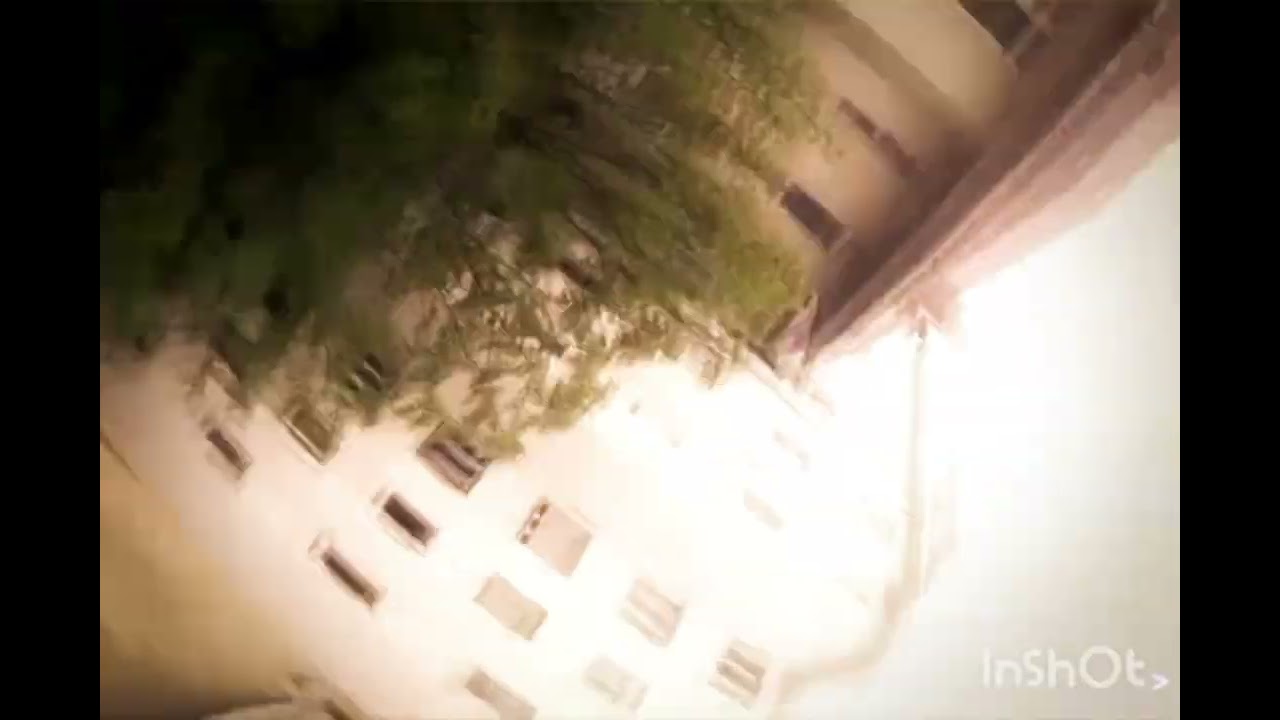 Fmv game