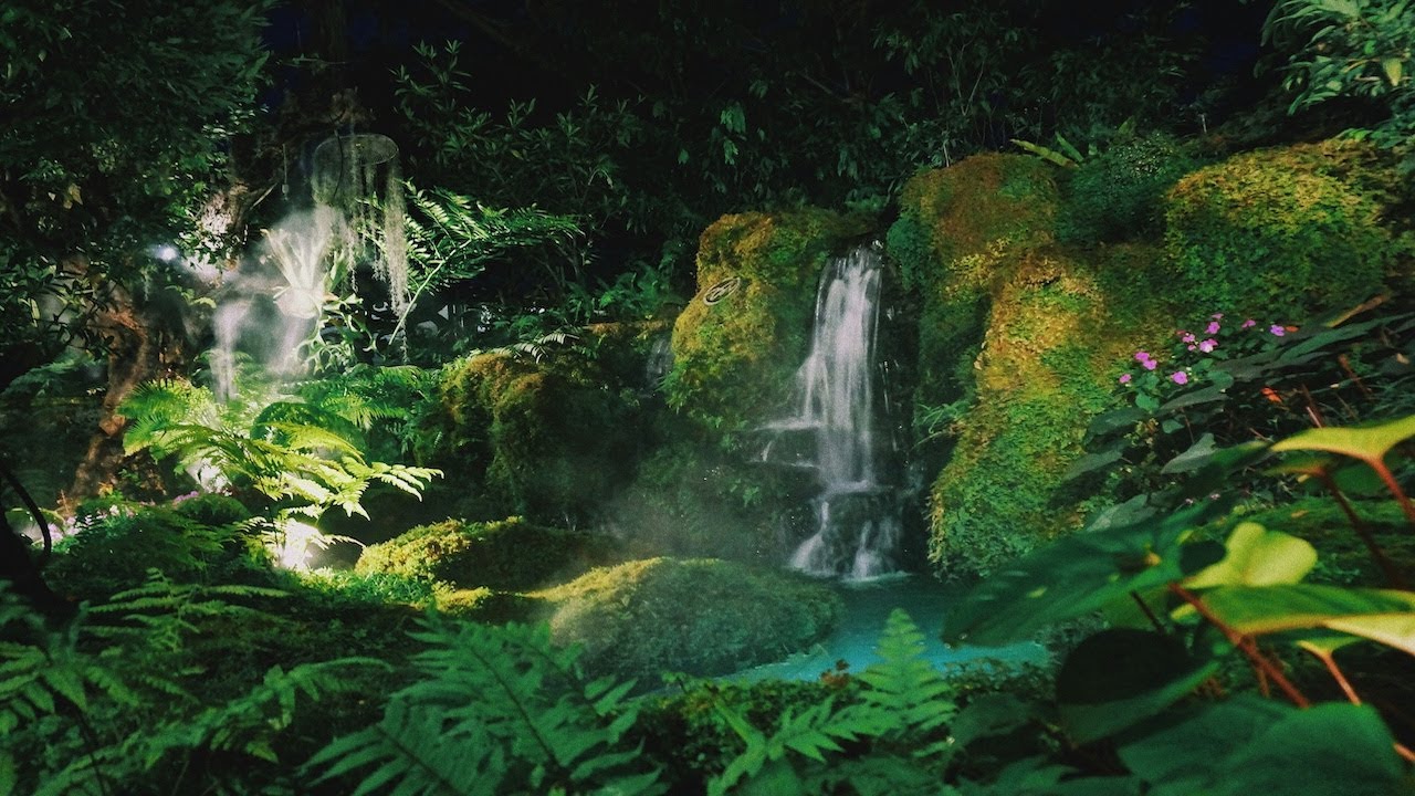 Hidden Forest Stream 🌿Gentle Water & Soft Birds for Calm and Rest