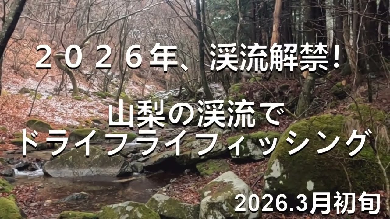 2026、3月初旬、渓流解禁
