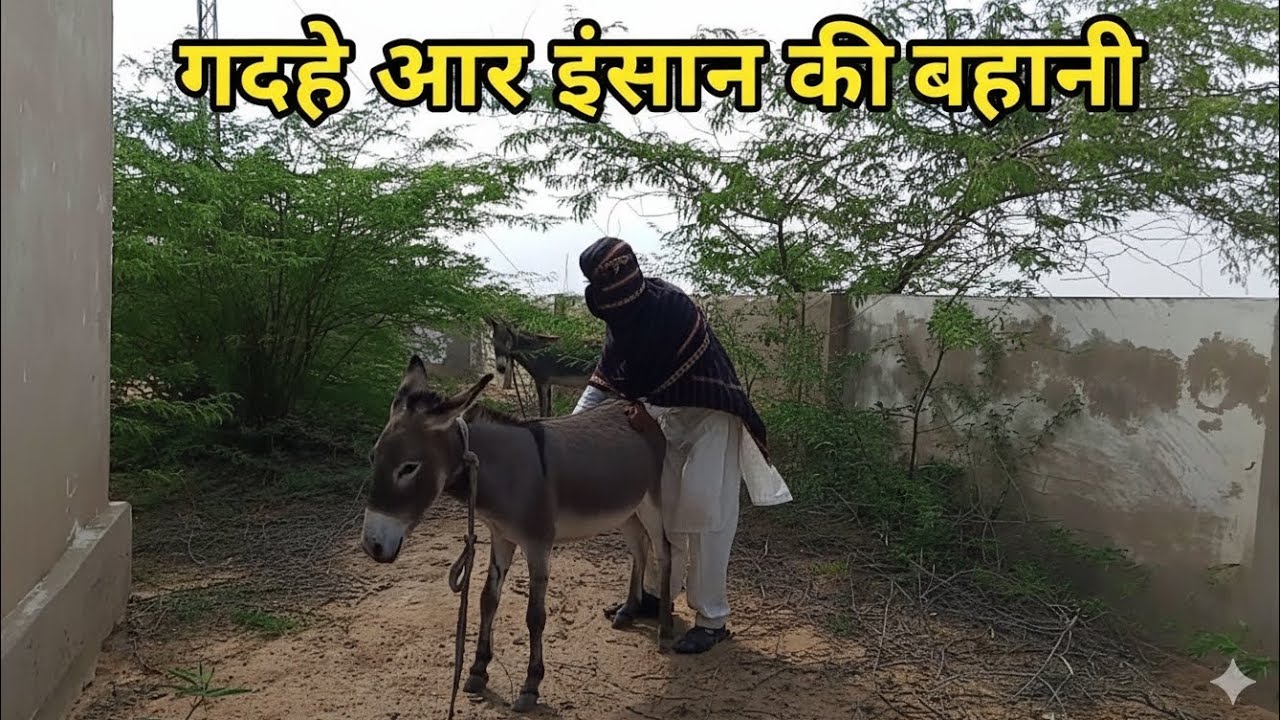 قصة الحمار والرجل
