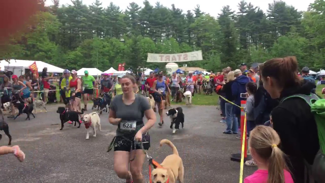 Canicross Start Pineland Farms Trail 2018