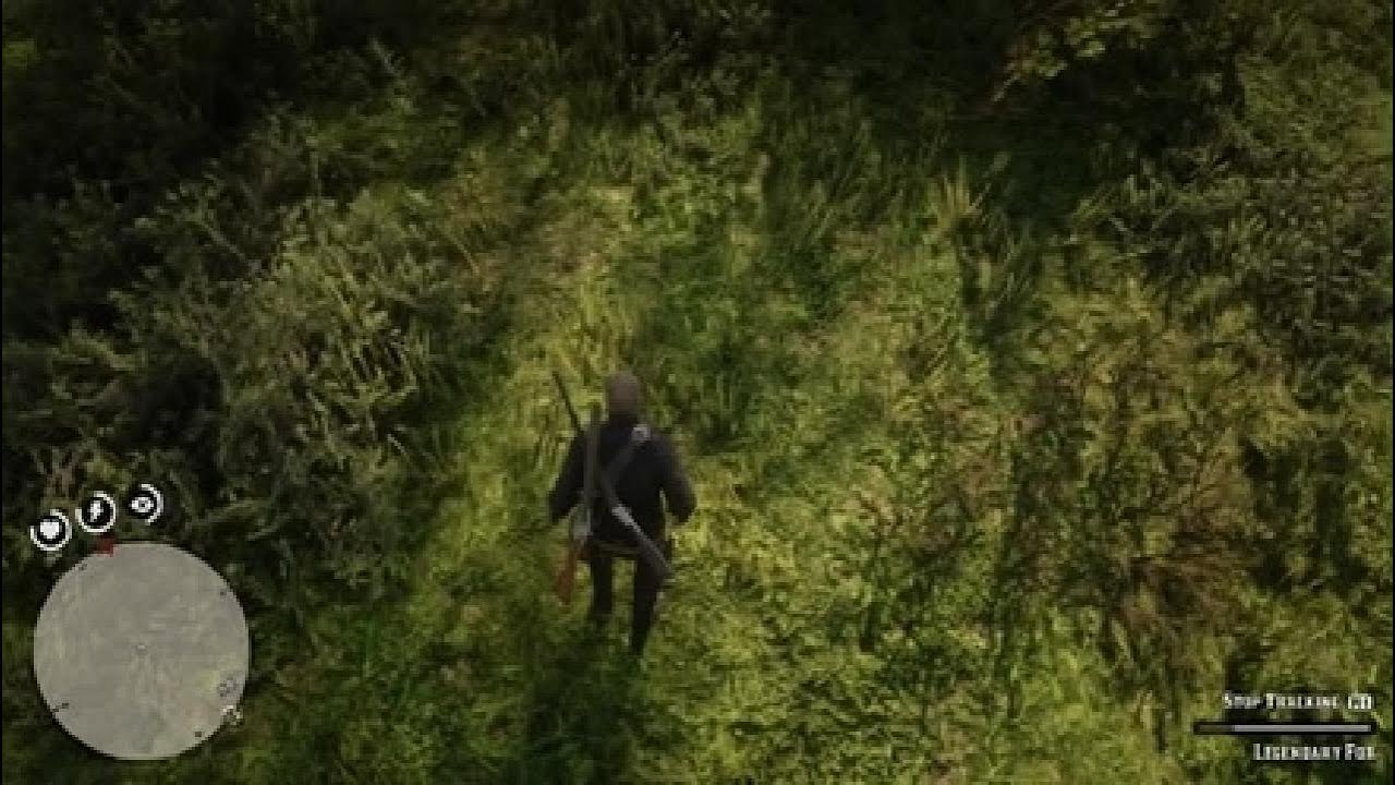Red Dead Redemption 2 Legendary Ghost Fox