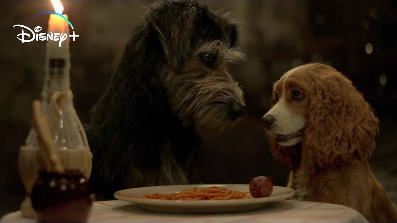 Lilli e Il Vagabondo - Trailer Ufficiale | In Streaming su Disney+