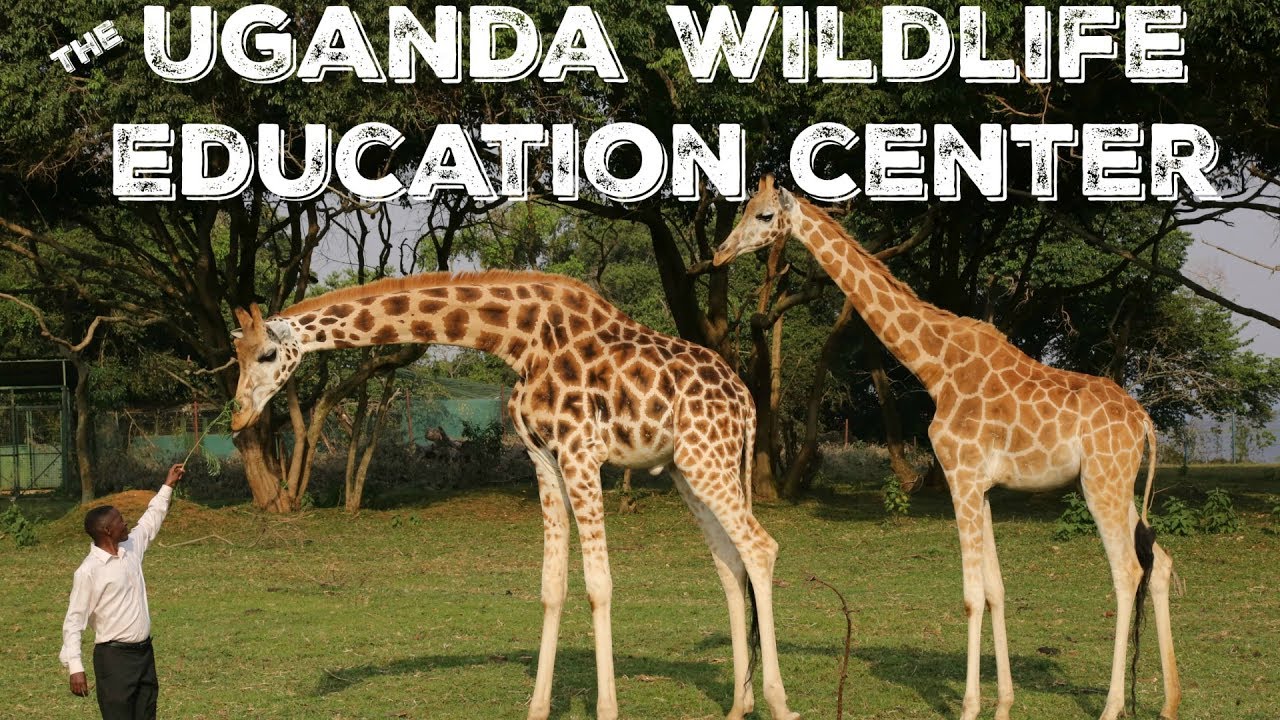 The Uganda Wildlife Education Center