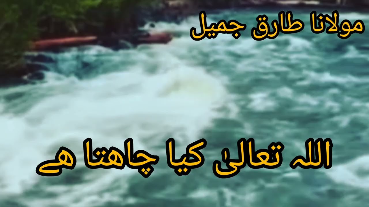 Allah Tahla kya Cheyty he.@Molana Tariq Jameel.Bayyan,@You, Tube,Minber e Islam,@Channal Islamic @