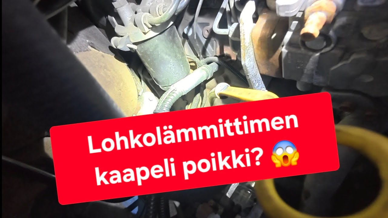 Lohkolämmittimen maajohto poikki? | Siivouspäivä?
