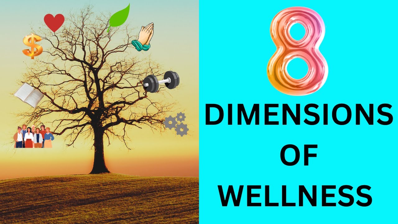 The 8 Dimensions Of Wellness And Self Care