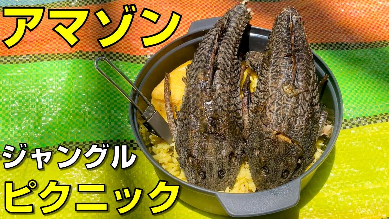 アマゾンでピクニックしてみた｜虫・イグアナ・雨と共に過ごす一日