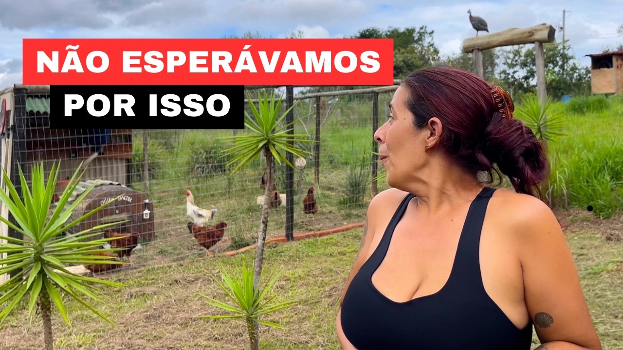 Olha o que aconteceu na nossa rotina no sítio surpreendeu