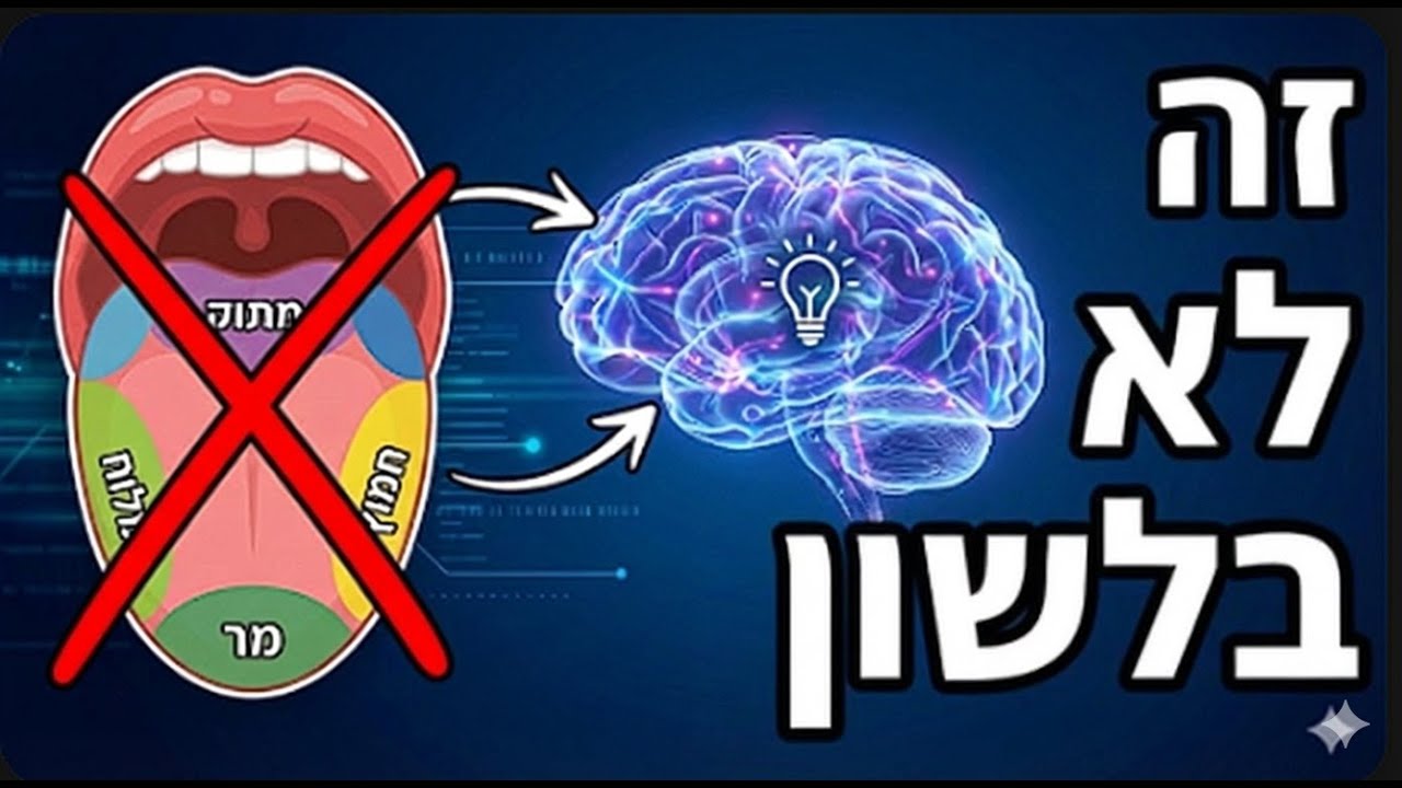 הסודות של המוח: איך הלשון באמת מבדילה בין טעמים? 👅🤔