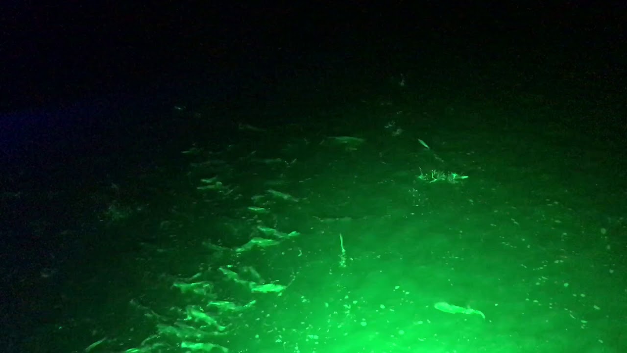 DockPro 3500 LED Dock Light in use