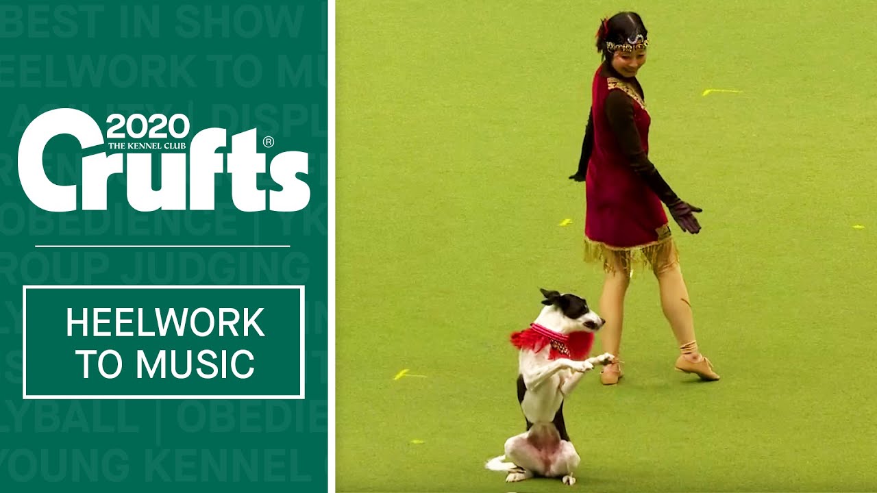 International Freestyle Heelwork To Music - Part 2 | Crufts 2020