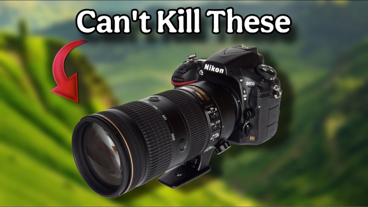 Самые долговечные объективы для цифровых зеркальных камер, превосходящие по качеству новые.