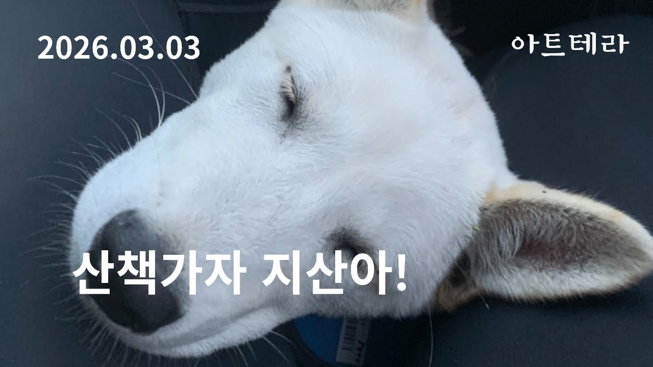 [20260303]산책가자지산아