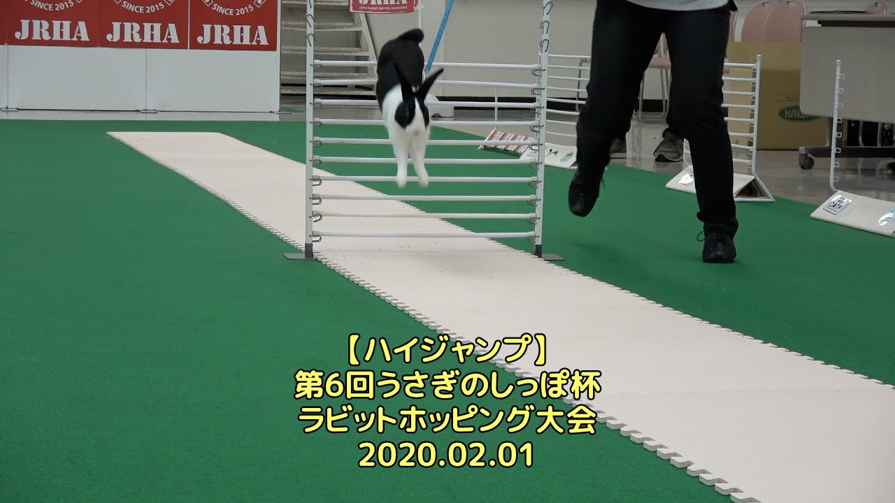 【ハイジャンプ】第6回うさぎのしっぽ杯・ラビットホッピング大会＠横浜産貿ホール（2020.02.01）