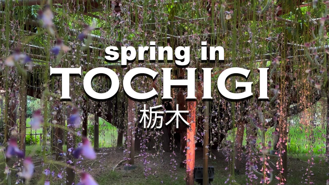 Explore Tochigi: A Journey Through Flowers, Flavor & Landmarks