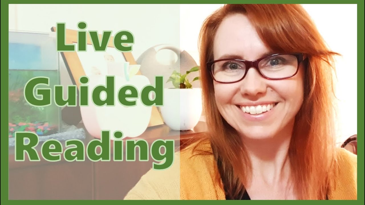 Live Guided Reading Example | Video Conference