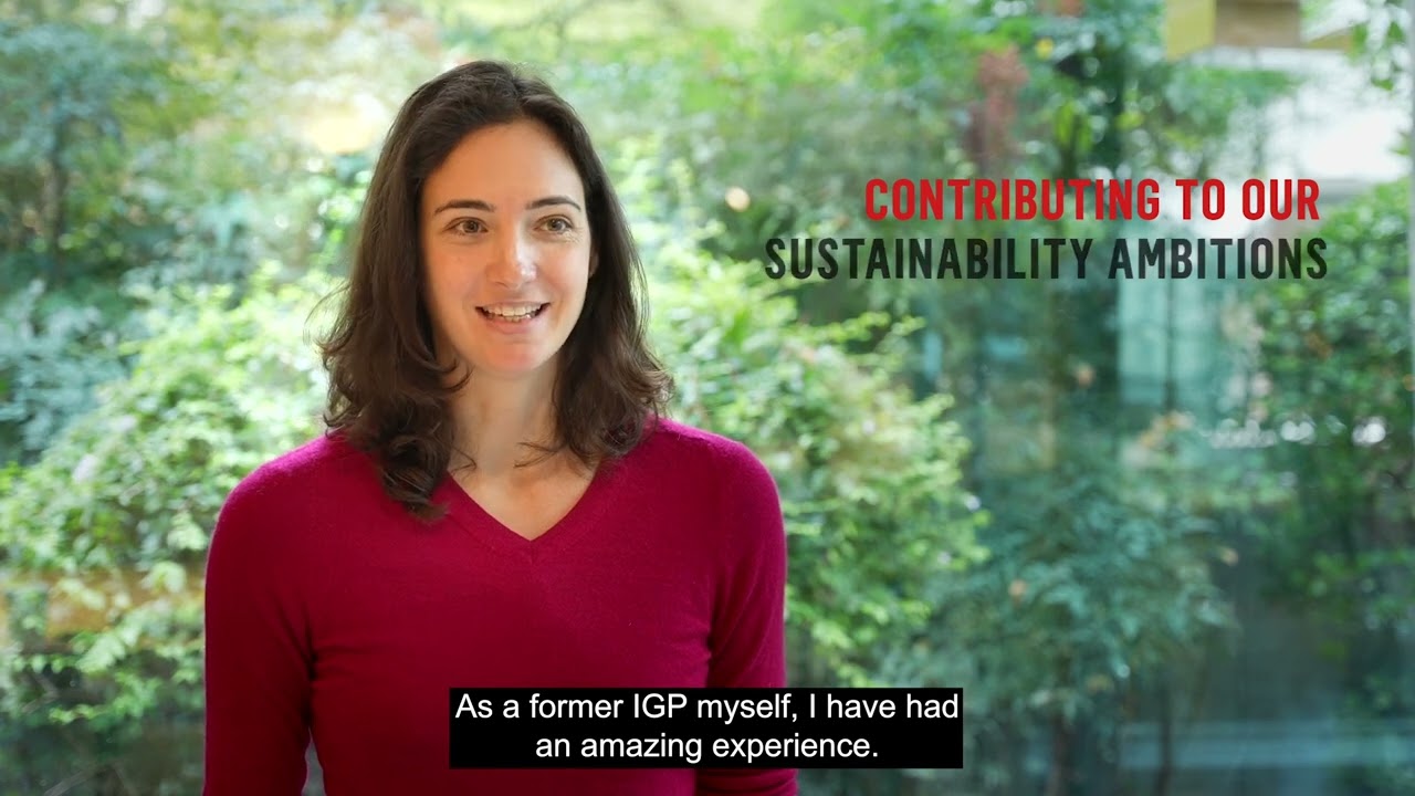URW International Graduate Program: Our Alumni experience