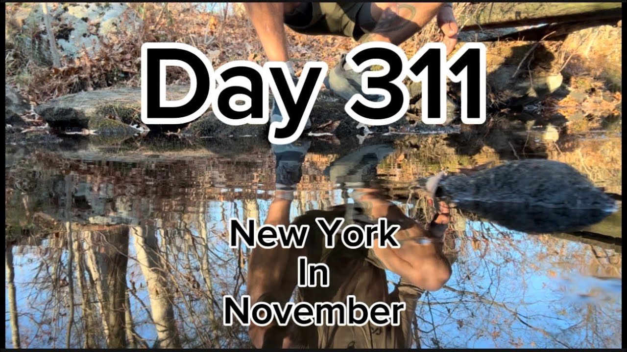 NY In November | AT YoYo ‘24 | Adventure Therapy