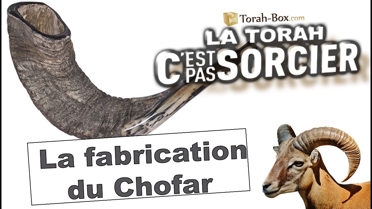 La Torah, c'est pas sorcier : Fabrication d'un Chofar