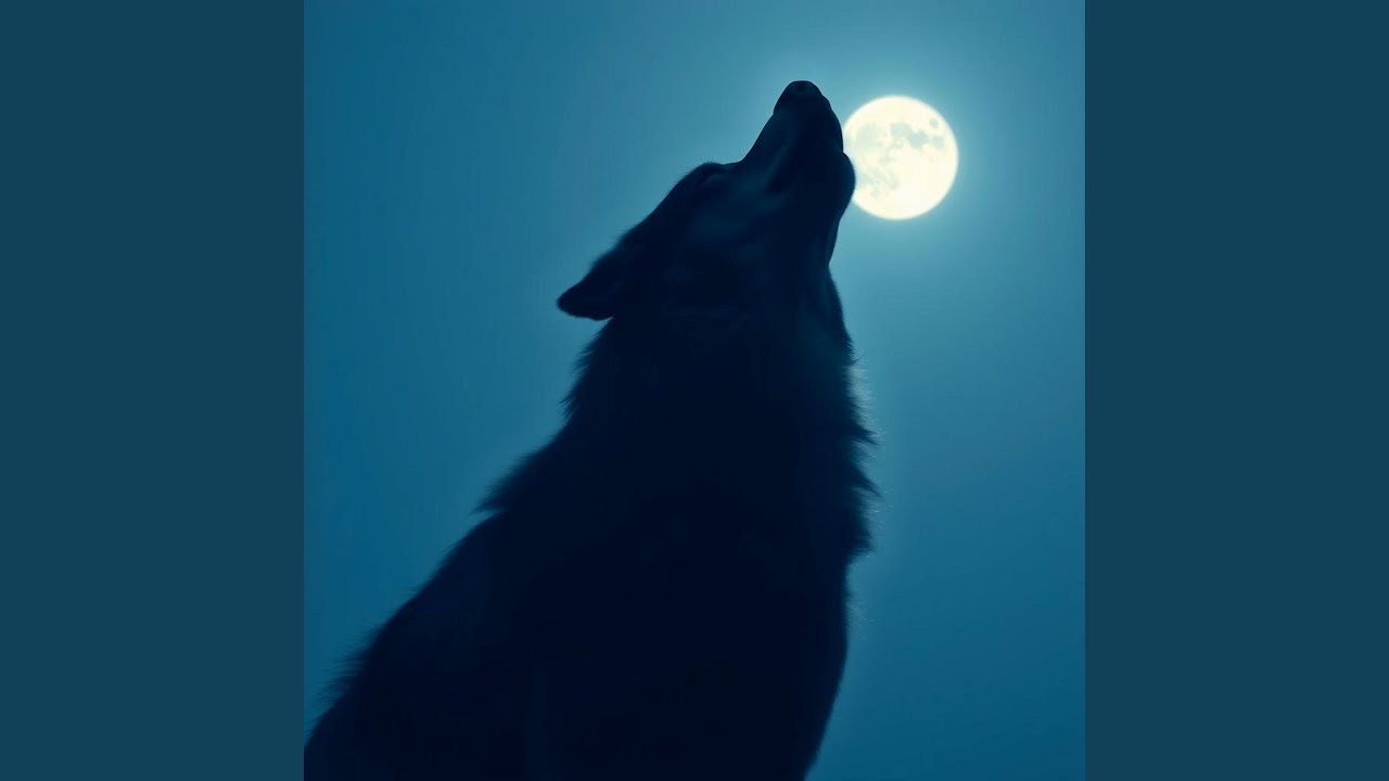 Call of the Wolf