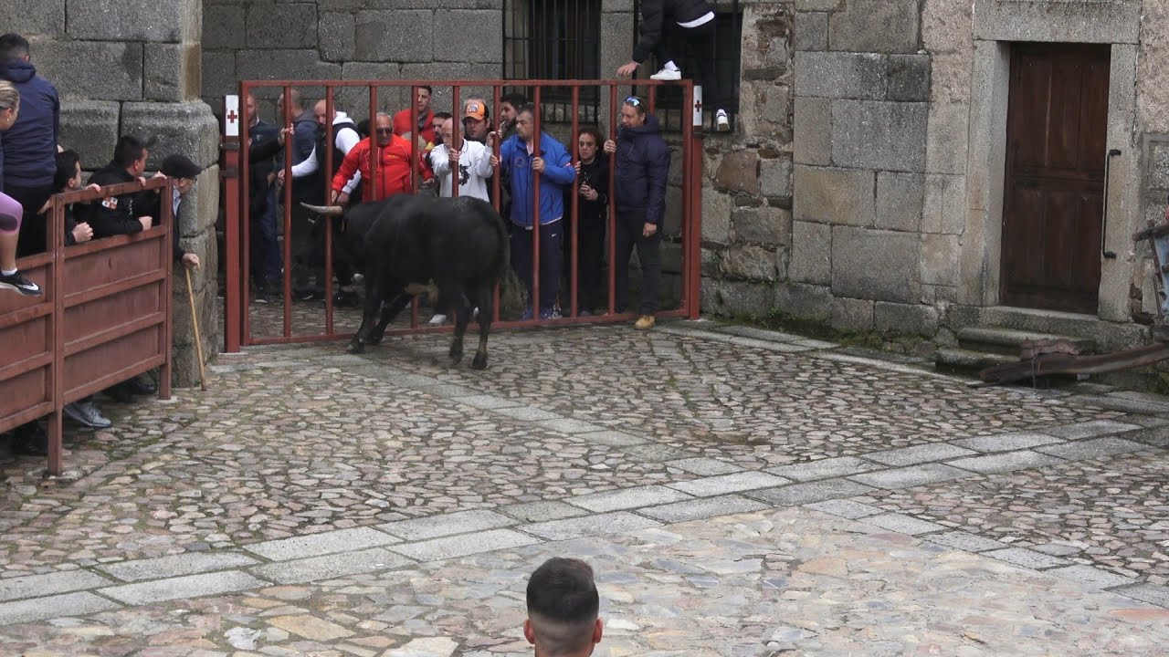 SAN FELICES 2025 Toro del aguardiente, Barcial