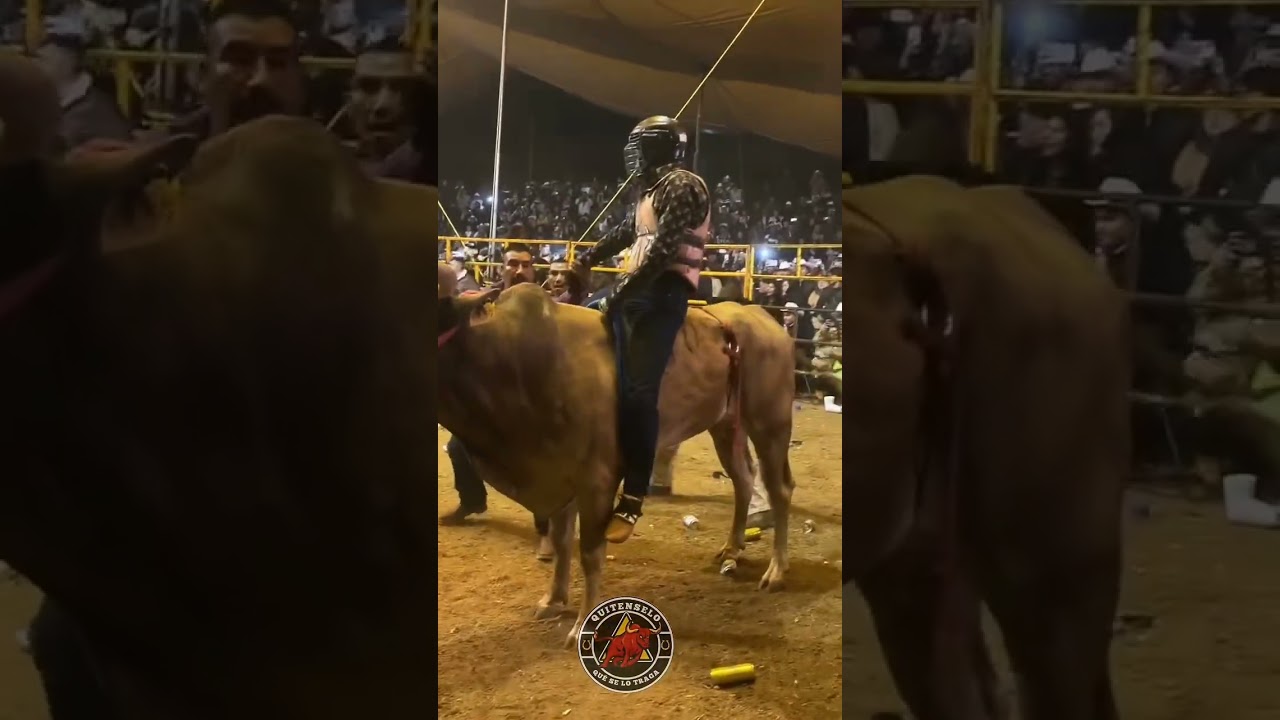 PIPIS DE VILLA GUERRERO