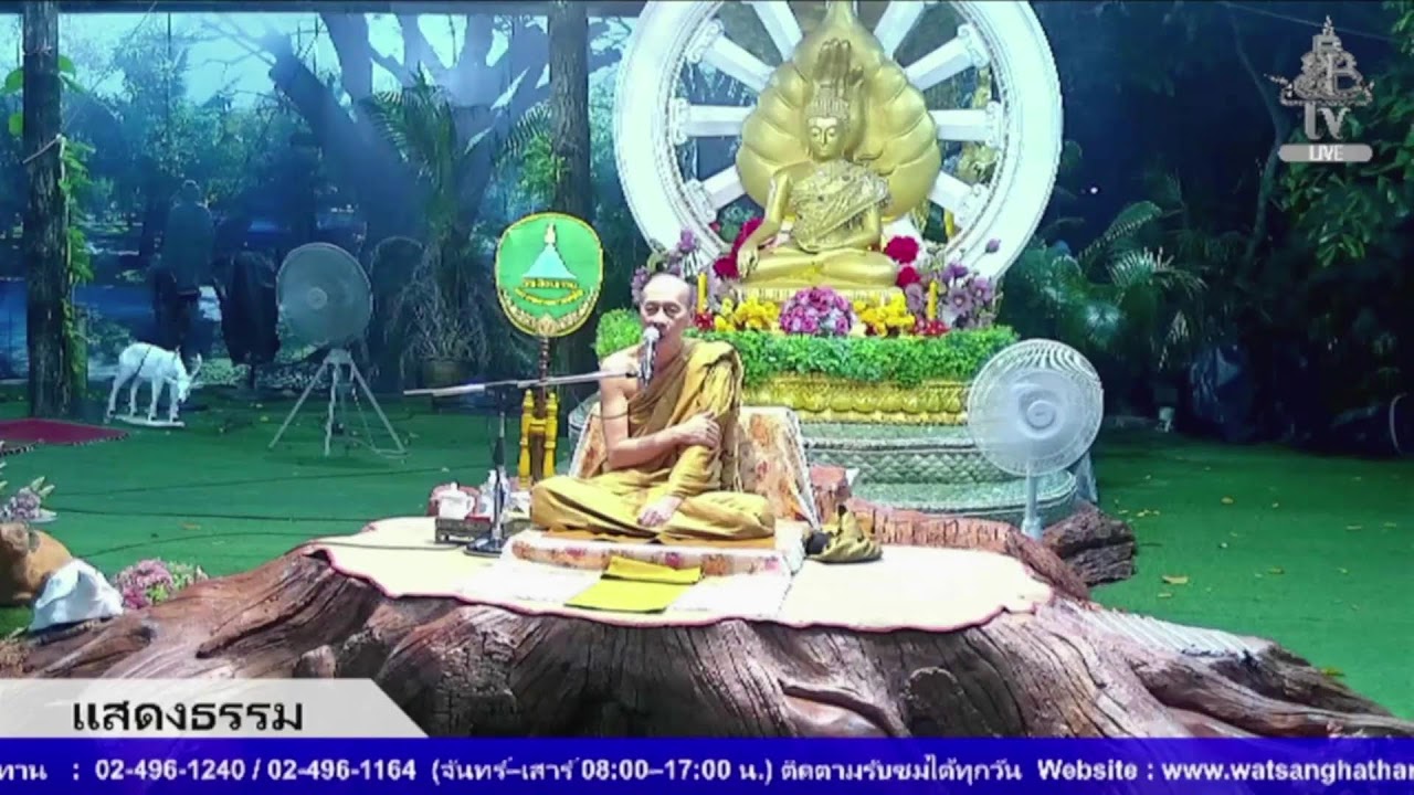 Live สด ปฏิบัติธรรม ฟังธรรม ทุกวันเสาร์