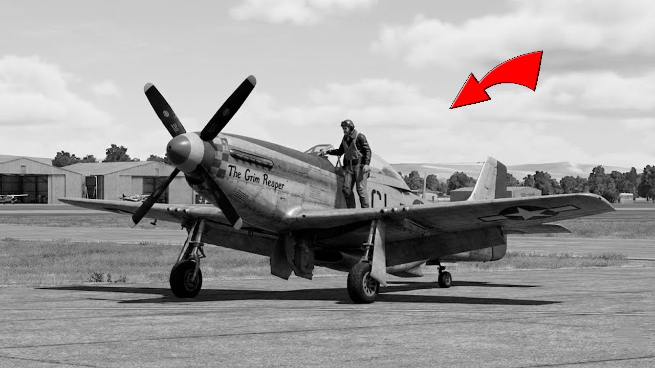 AMERIČANÉ POSLALI JEDEN P-51 MUSTANG, PO ZKUŠEBNÍM LETU SOVĚTSKÝ PILOT PLAKAL