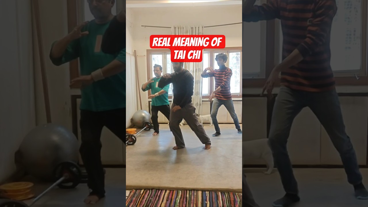The real meaning of Tai chi! 