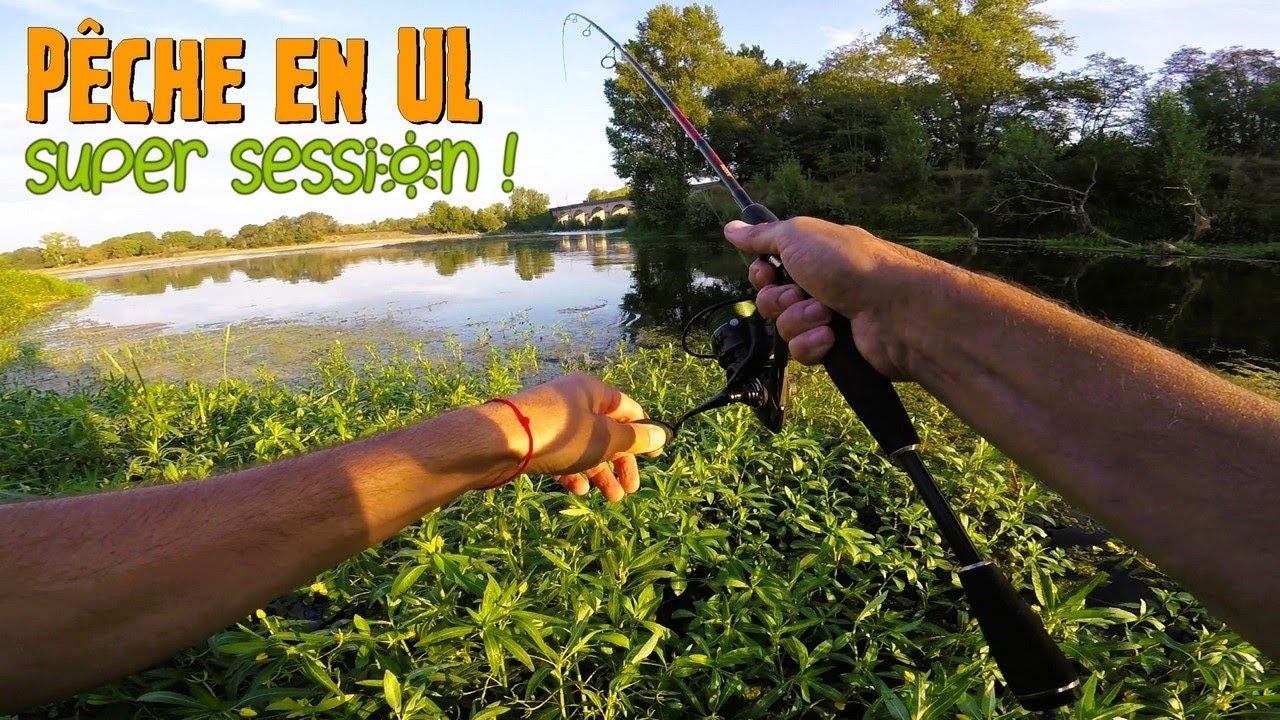 Рыбалка на реке Луаре в УЛ: жерех, щука, голавль.. отличная сессия!