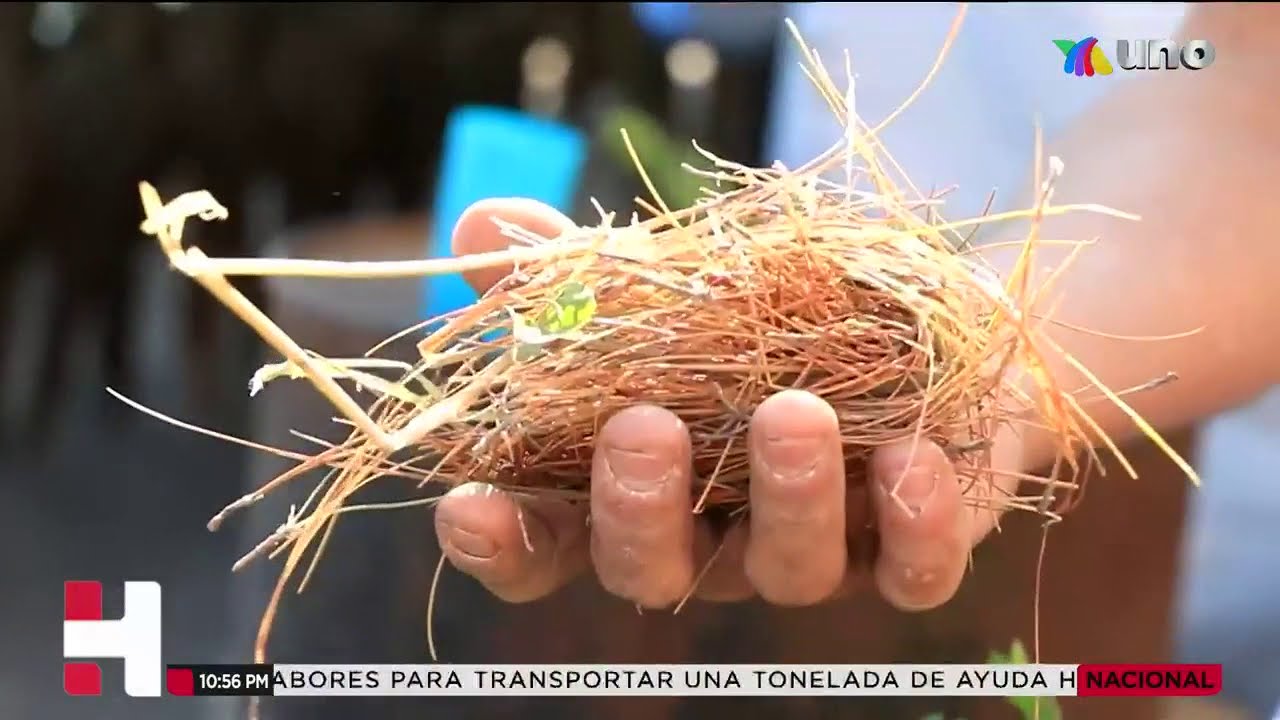 El Otro México: Tlalmanalco, el pueblo de artesanías de perlilla en el Edomex