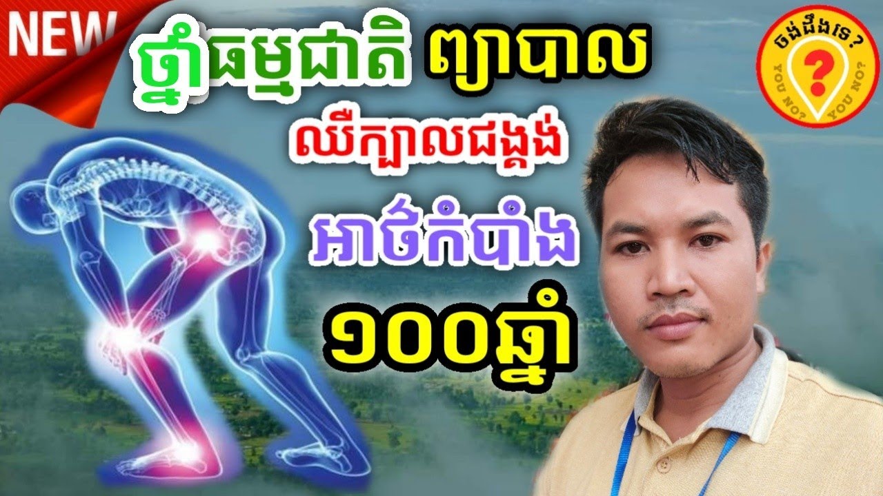 ថ្នាំឈឺសន្លាក់ ឈឺជង្គង់ Best Khmer traditional medicine plant 2022