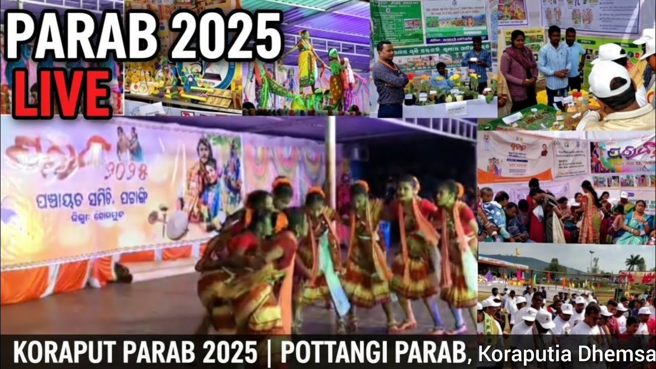 Koraput Parab 2025 | Grand Pottangi Parab Celebration | Dhemsa, Culture & Unity of Koraput #koraput 