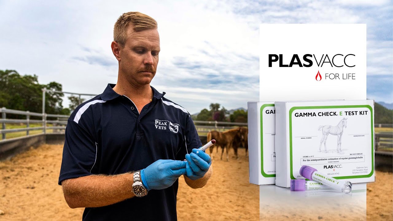 Gamma Check - Equine Test Kits