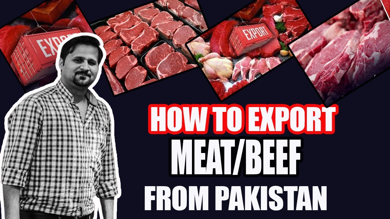 How to Export Beef from Pakistan || Import/Export of Halal Meat, beef and Mutton || Business idea