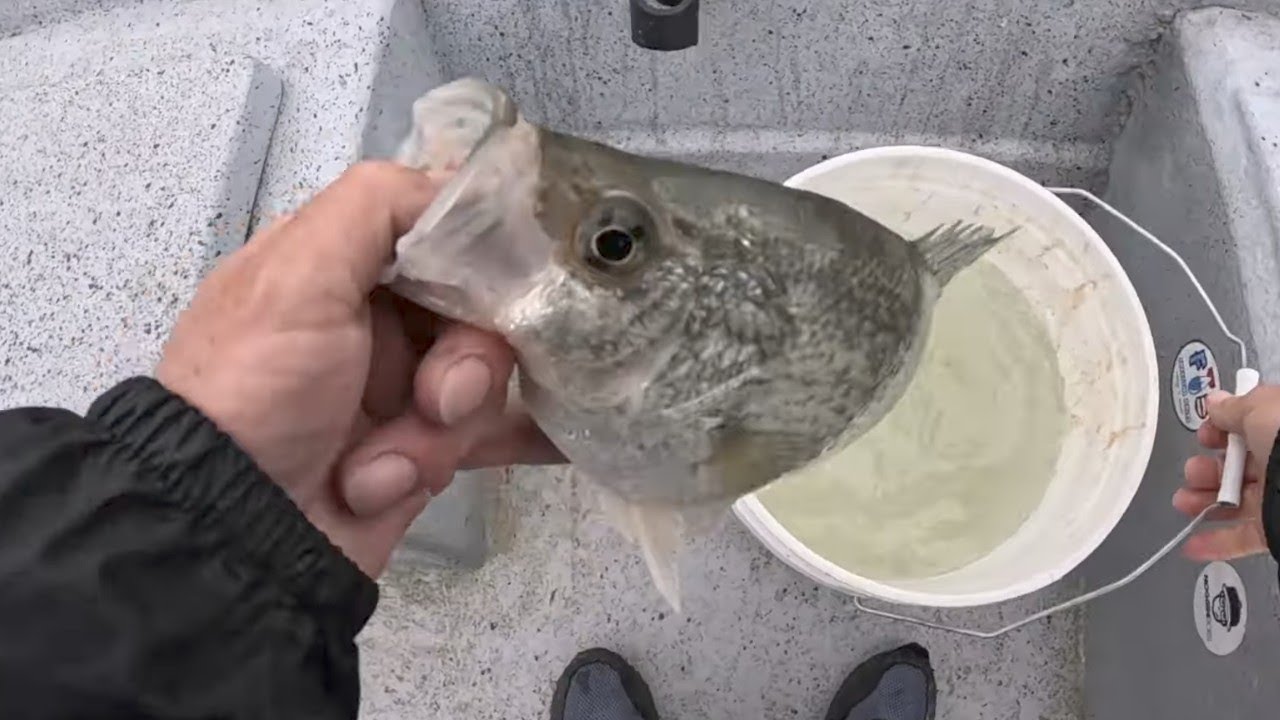 Keeping Only The BIGGEST Crappie, SLAB HUNTING DAY!!