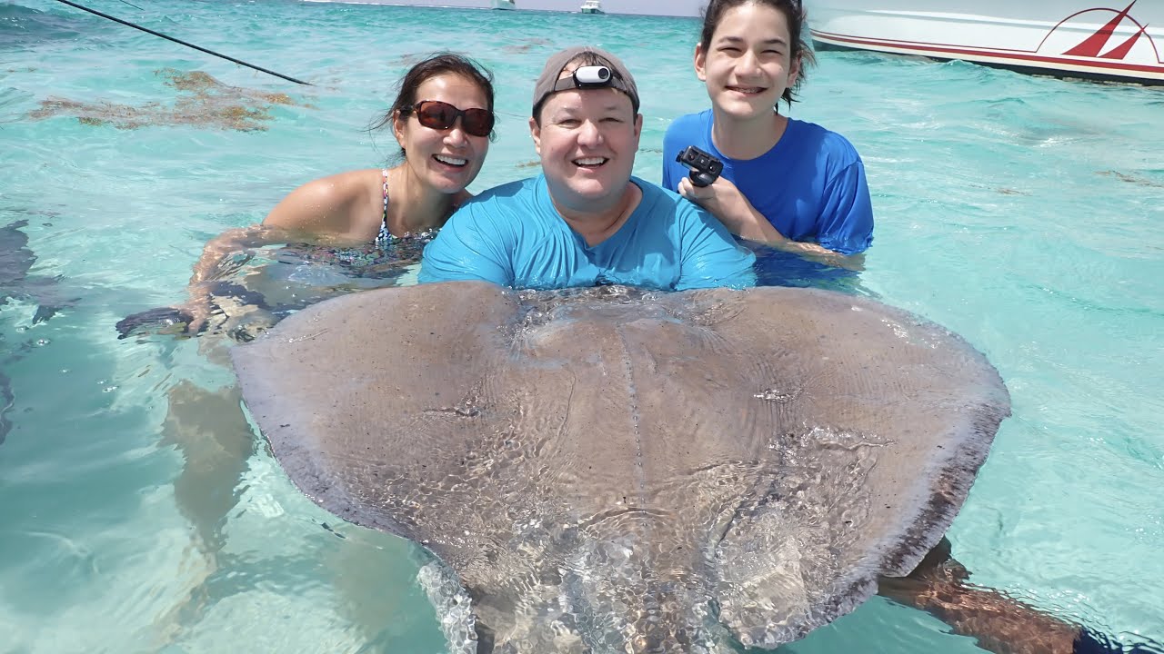 Should You Visit Stingray City In Grand Cayman? Liberty Of The Seas Ep 4