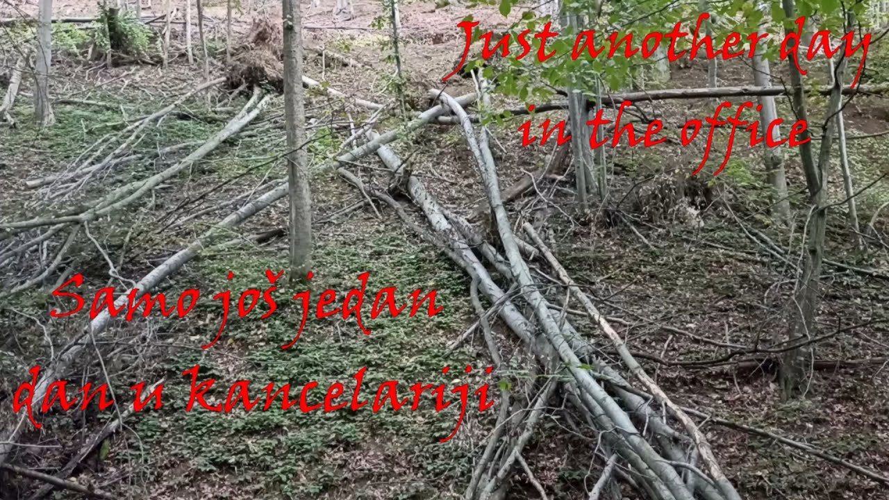 Got both of my chainsaws stuck on this dangerous worksite/Zaglavio obe testere na ovom opasnom poslu