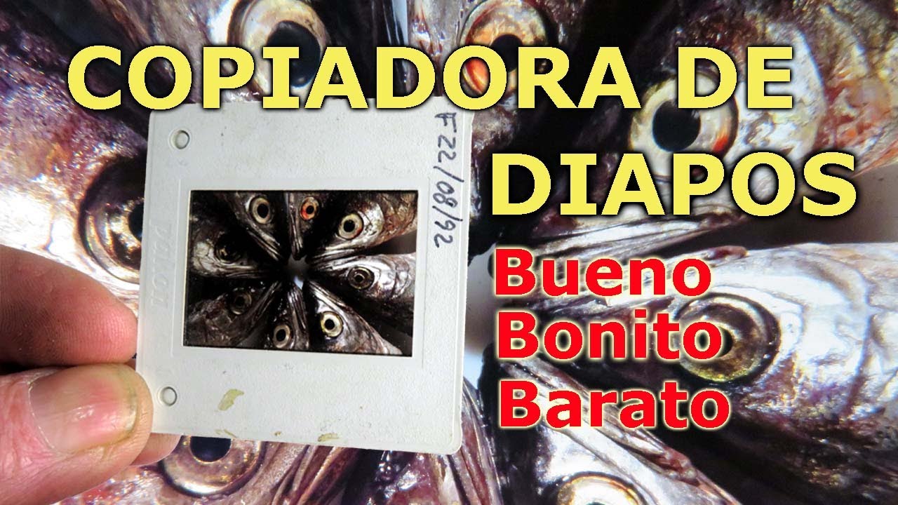 Como hacer una copiadora de diapositivas fácil y barato