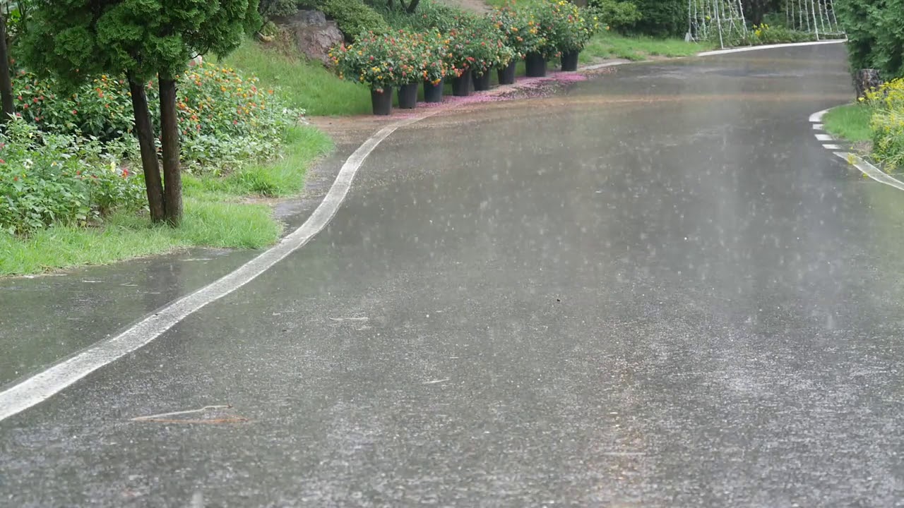 Sonido de la lluvia de verano para Dormir * Relajante sonido de la lluvia * Sonido de ruido blanco