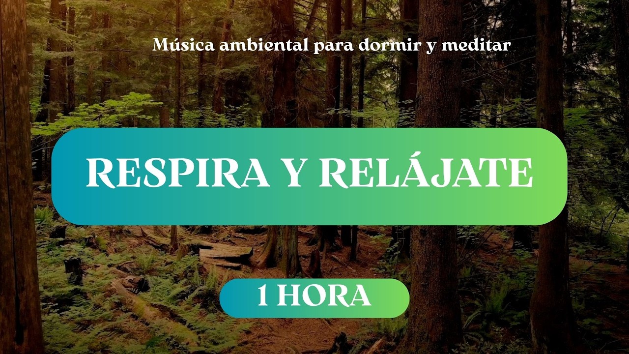 Calma Natural 🌳 Sonidos Ambientales del Bosque para Paz Interior (1H Música Relajante)