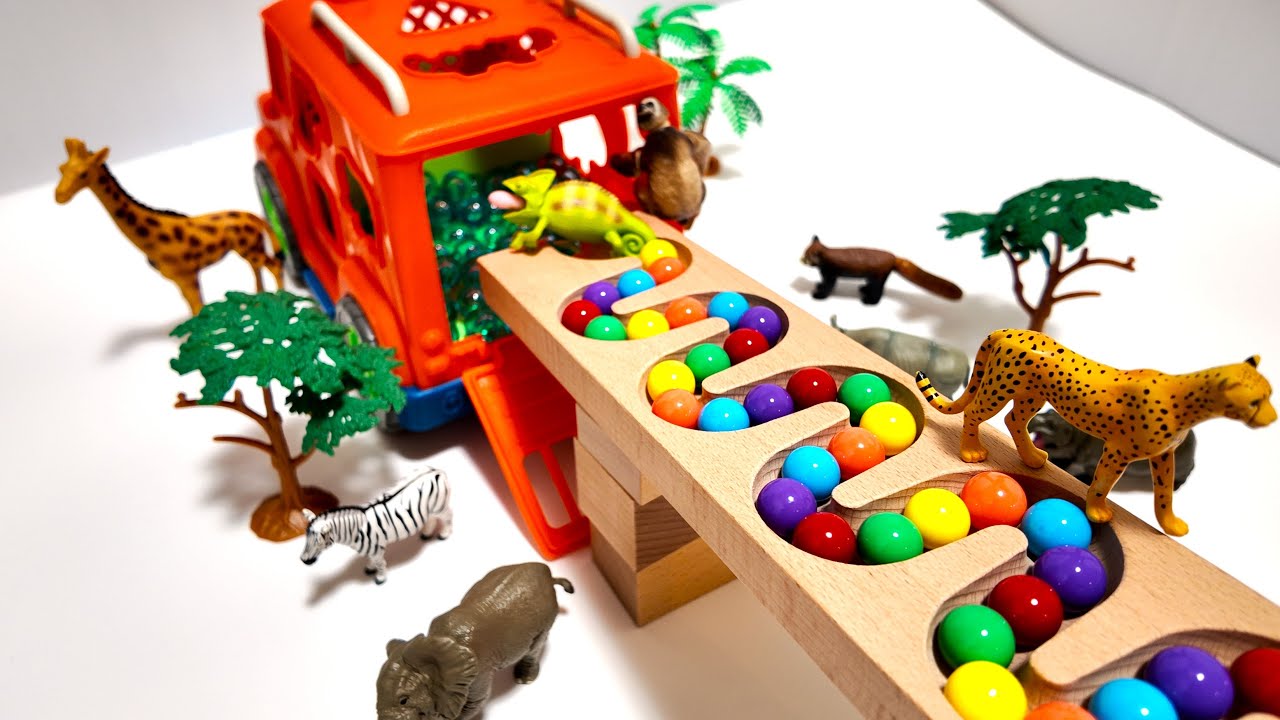 Marble Run Run Race ASMR 14 #marblerunrace #marblerun #marble #asmr #soothingsounds #haba#マーブルランレース