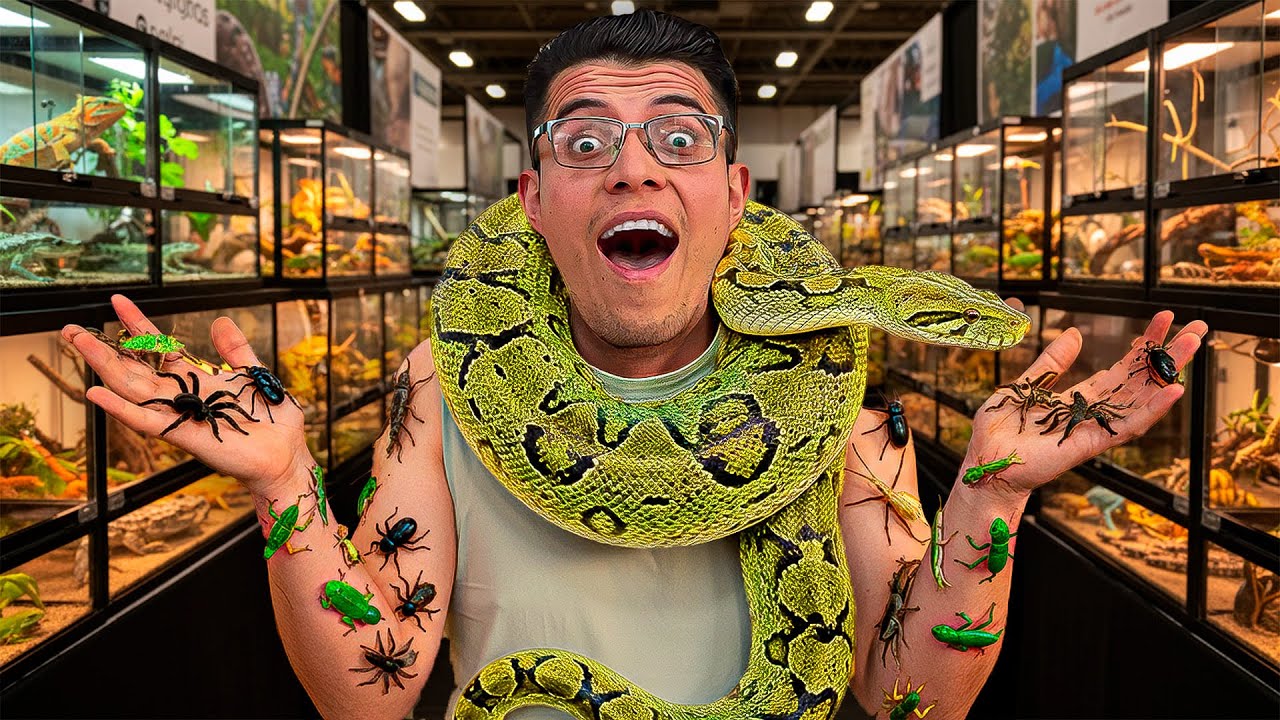 ¡Los ANIMALES MÁS EXÓTICOS de ANIMALIA 2025! 🐍🕷️🦗