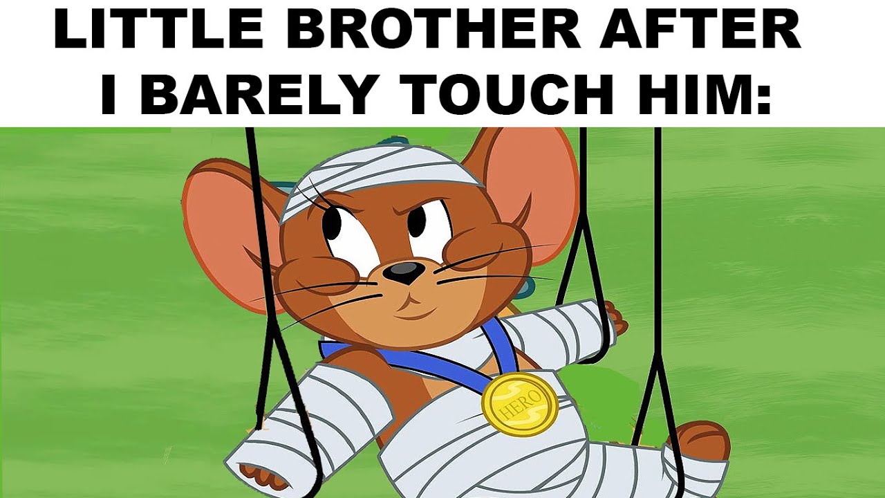 Memes Only Siblings Understand