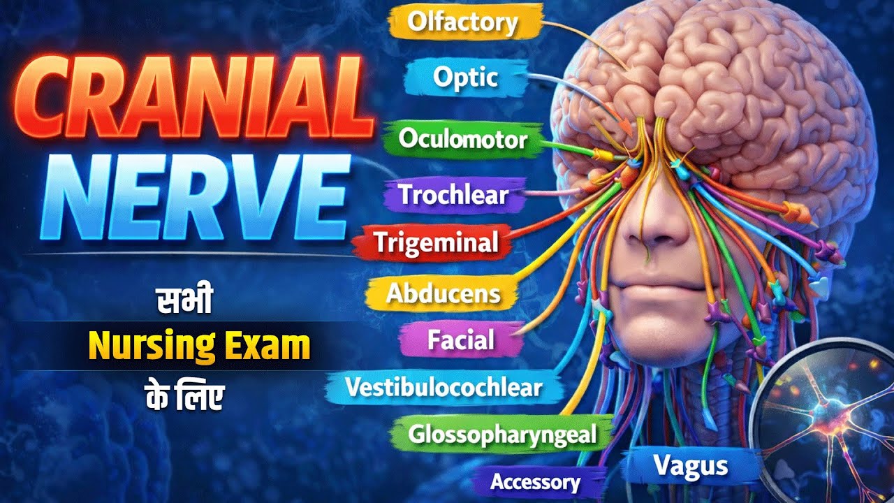 CRANIAL NERVE | Cranial Nerves Bsc Nursing 1st year | NORCET, CHO & Other Nursing Exams