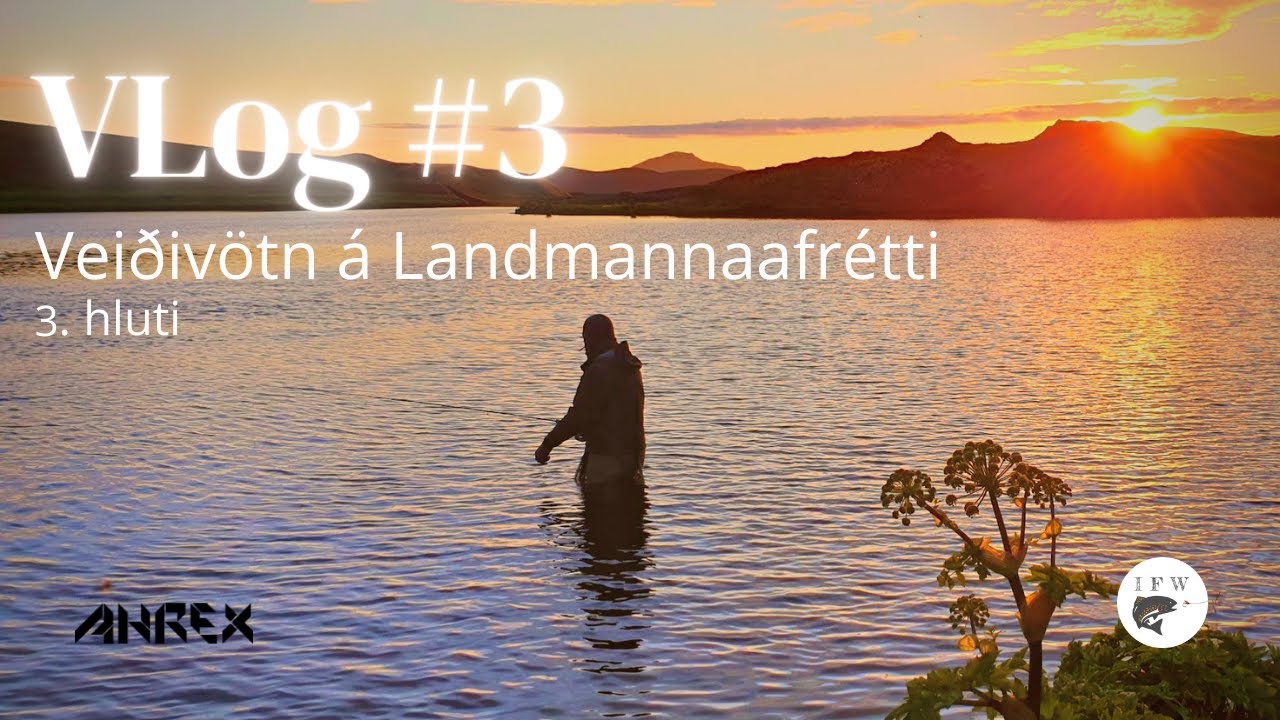 Fluguveiði V-Log #3 Veiðivötn 3. hluti 🇮🇸