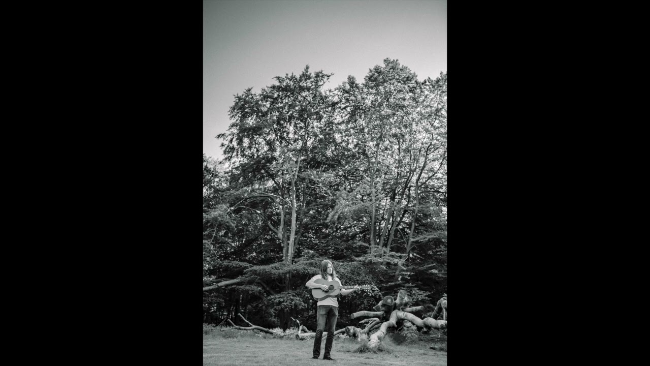 Timo van Lierop - Try Again