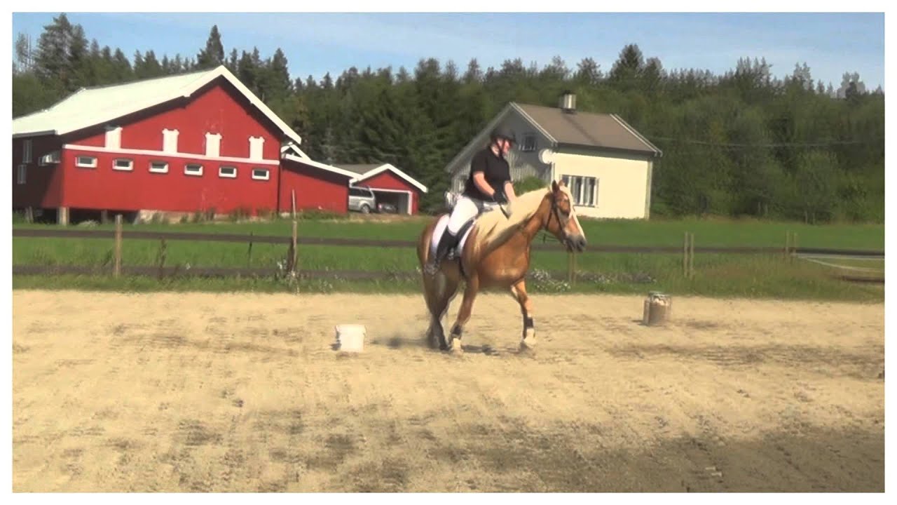 stall tajet rideleir 2015!