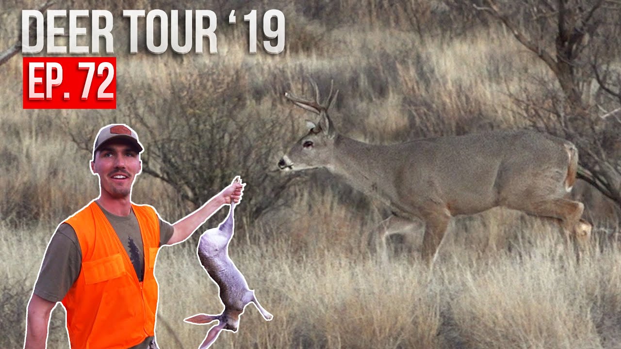 ROUGH ROAD Leads to BUCKS! | Bowhunting Arizona PUBLIC LAND Coues Deer - Jackrabbit Success!